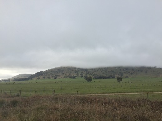 Hearts Across Australia Week 13 photo from 11 Aug 2015.