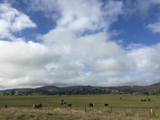 Hearts Across Australia Week 13 photo from 11 Aug 2015.
