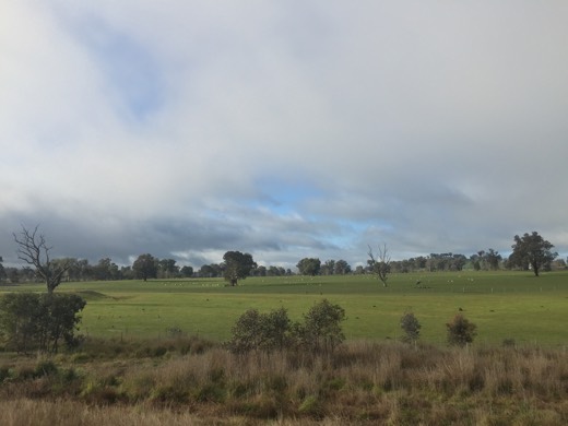 Hearts Across Australia Week 12 photo from 13 Aug 2015.