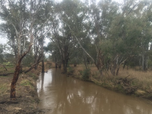 Hearts Across Australia Week 12 photo from 14 Aug 2015.