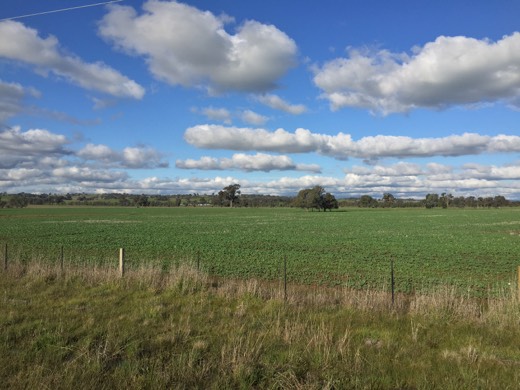 Hearts Across Australia Week 12 photo from 10 Aug 2015.
