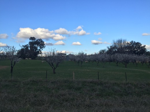 Hearts Across Australia Week 12 photo from 10 Aug 2015.
