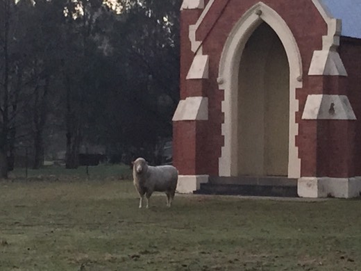 Hearts Across Australia Week 13 photo from 11 Aug 2015.