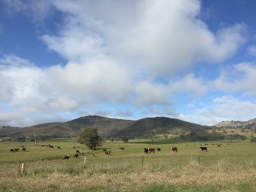 Hearts Across Australia Week 13 photo from 11 Aug 2015.