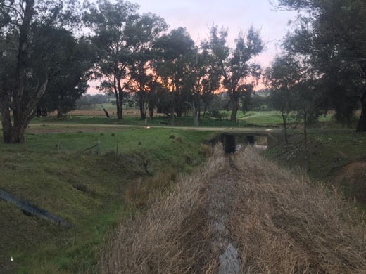 Hearts Across Australia Week 12 photo from 14 Aug 2015.