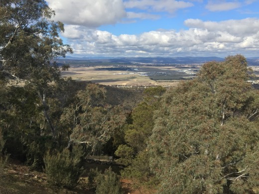 Hearts Across Australia Week 14 photo from 15 Aug 2015.