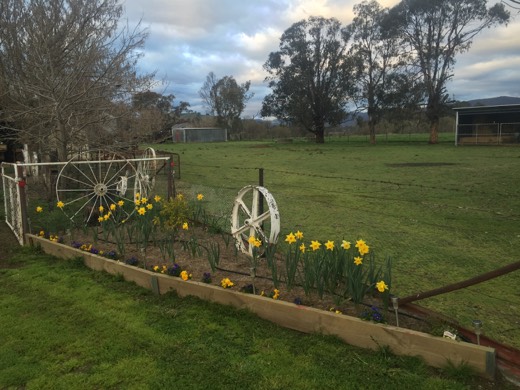 Hearts Across Australia Week 14 photo from 17 Aug 2015.