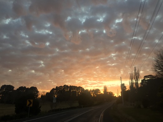 Hearts Across Australia Week 14 photo from 22 Aug 2015.