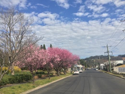 Hearts Across Australia Week 14 photo from 22 Aug 2015.