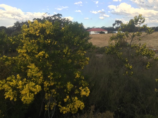 Hearts Across Australia Week 14 photo from 22 Aug 2015.