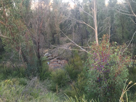 Hearts Across Australia Week 14 photo from 22 Aug 2015.
