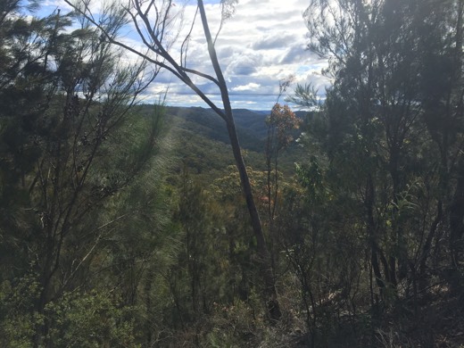 Hearts Across Australia Week 14 photo from 25 Aug 2015.
