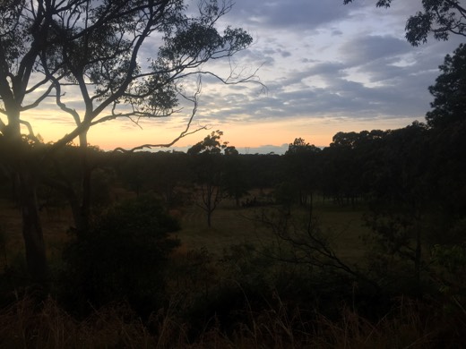 Hearts Across Australia Week 14 photo from 27 Aug 2015.