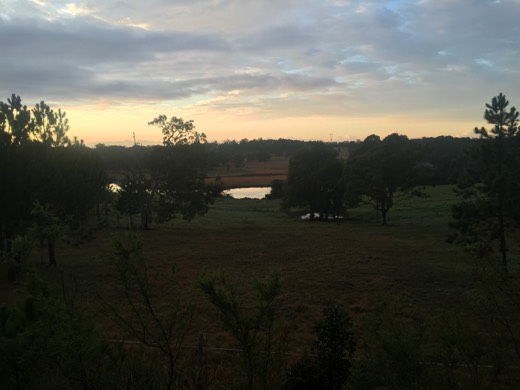 Hearts Across Australia Week 14 photo from 27 Aug 2015.
