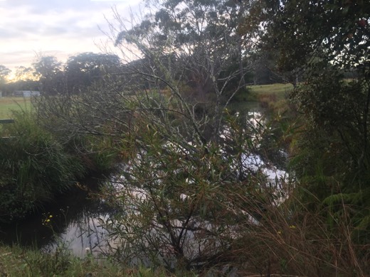 Hearts Across Australia Week 14 photo from 27 Aug 2015.