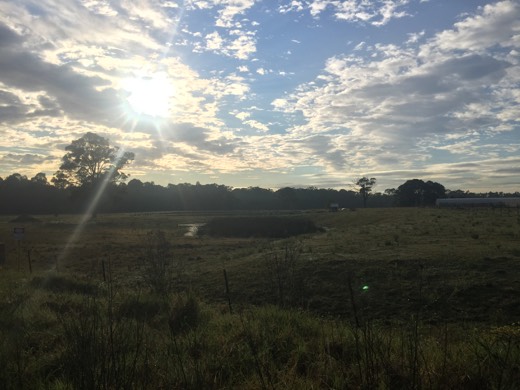 Hearts Across Australia Week 14 photo from 27 Aug 2015.