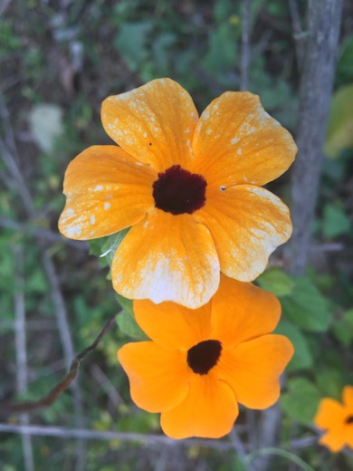Hearts Across Australia Week 14 photo from 27 Aug 2015.