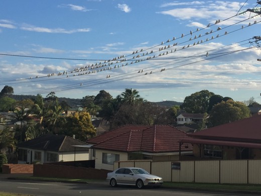 Hearts Across Australia Week 14 photo from 27 Aug 2015.