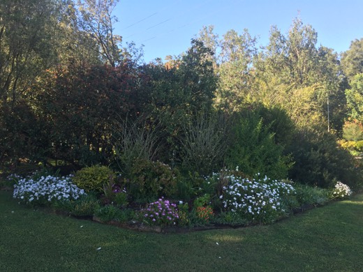 Hearts Across Australia Week 14 photo from 28 Aug 2015.