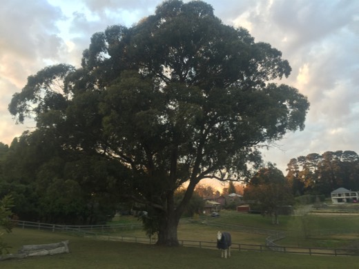 Hearts Across Australia Week 14 photo from 22 Aug 2015.