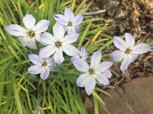 Hearts Across Australia Week 14 photo from 22 Aug 2015.
