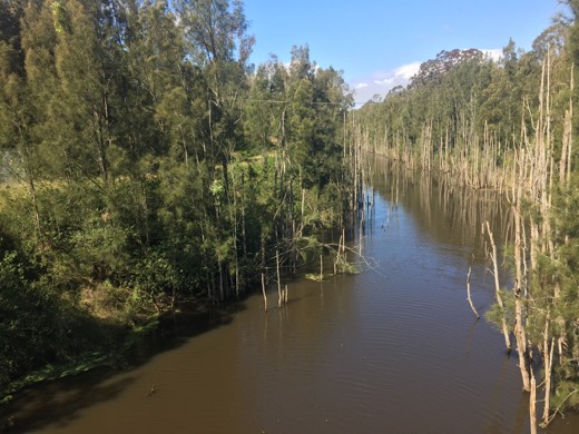 Hearts Across Australia Week 14 photo from 28 Aug 2015.