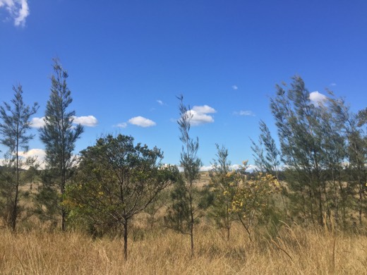 Hearts Across Australia Week 16 photo from 31 Aug 2015.