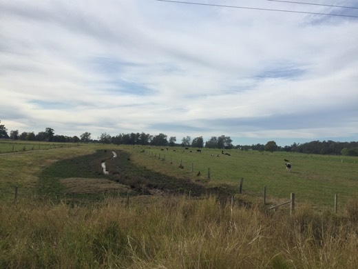 Hearts Across Australia Week 16 photo from 2 Sep 2015.