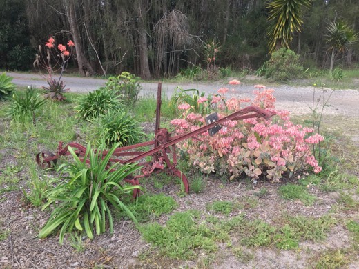 Hearts Across Australia Week 16 photo from 2 Sep 2015.