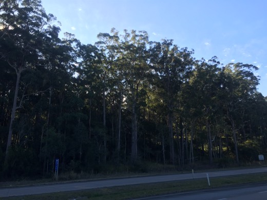 Hearts Across Australia Week 16 photo from 2 Sep 2015.