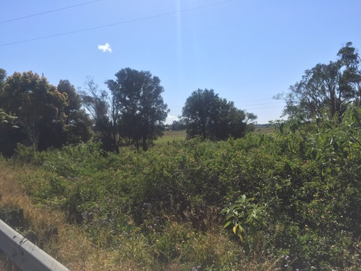 Hearts Across Australia Week 16 photo from 3 Sep 2015.