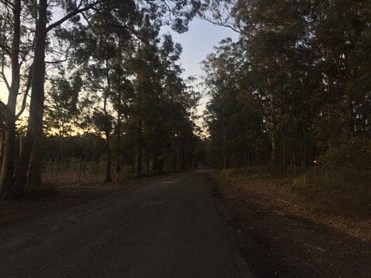 Hearts Across Australia Week 16 photo from 3 Sep 2015.
