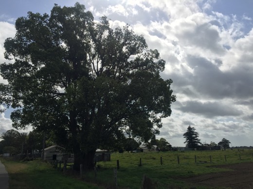 Hearts Across Australia Week 16 photo from 4 Sep 2015.