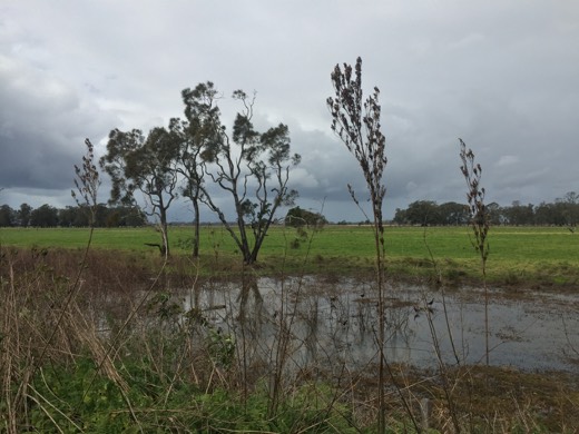 Hearts Across Australia Week 16 photo from 4 Sep 2015.