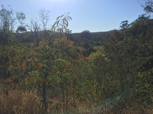 Hearts Across Australia Week 16 photo from 1 Sep 2015.