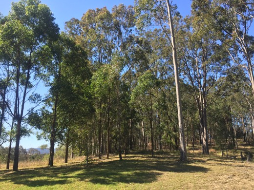 Day 109 photo from 1 Sep 2015 during Hearts Across Australia.
