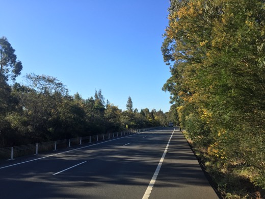 Hearts Across Australia Week 16 photo from 1 Sep 2015.
