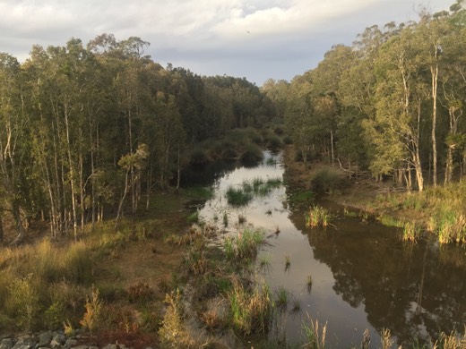 Hearts Across Australia Week 16 photo from 4 Sep 2015.