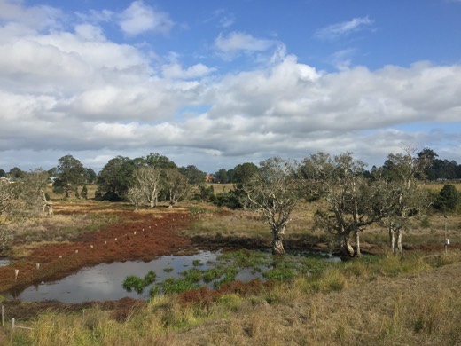 Hearts Across Australia Week 16 photo from 4 Sep 2015.