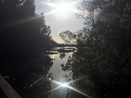 Hearts Across Australia Week 16 photo from 5 Sep 2015.