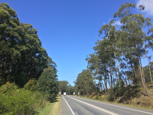 Hearts Across Australia Week 16 photo from 5 Sep 2015.