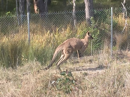 Hearts Across Australia Week 16 photo from 7 Sep 2015.
