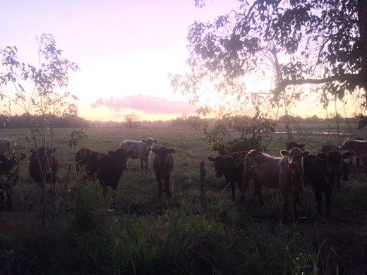 Hearts Across Australia Week 16 photo from 8 Sep 2015.