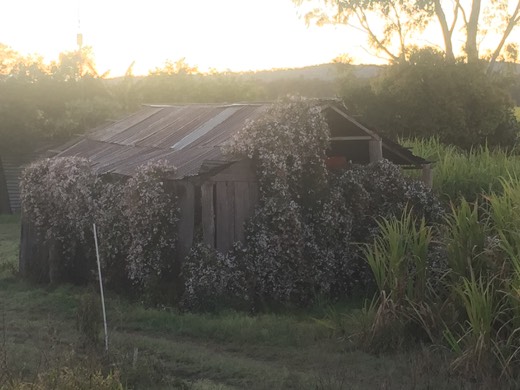 Hearts Across Australia Week 16 photo from 9 Sep 2015.