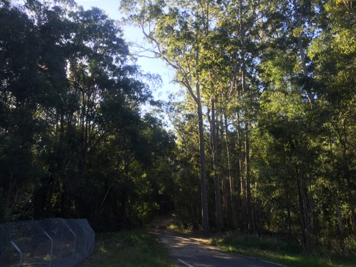Hearts Across Australia Week 16 photo from 9 Sep 2015.