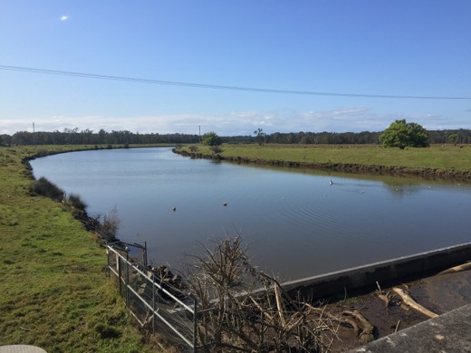 Hearts Across Australia Week 16 photo from 10 Sep 2015.