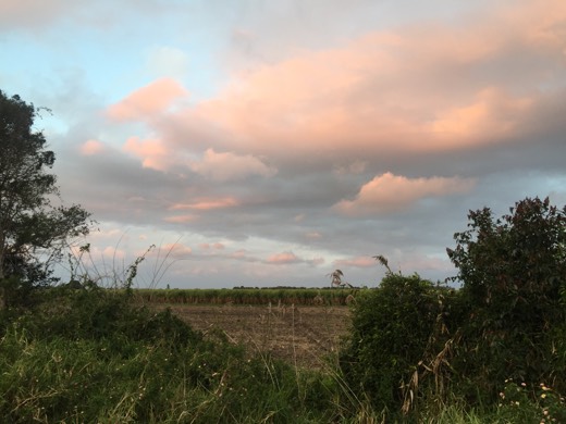 Hearts Across Australia Week 16 photo from 10 Sep 2015.