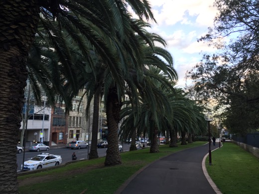 Hearts Across Australia Week 16 photo from 29 Aug 2015.