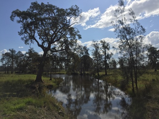 Hearts Across Australia Week 16 photo from 8 Sep 2015.
