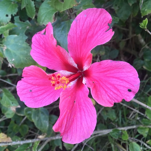 Hearts Across Australia Week 16 photo from 9 Sep 2015.